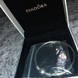 Pandora bracelet with charms (3)